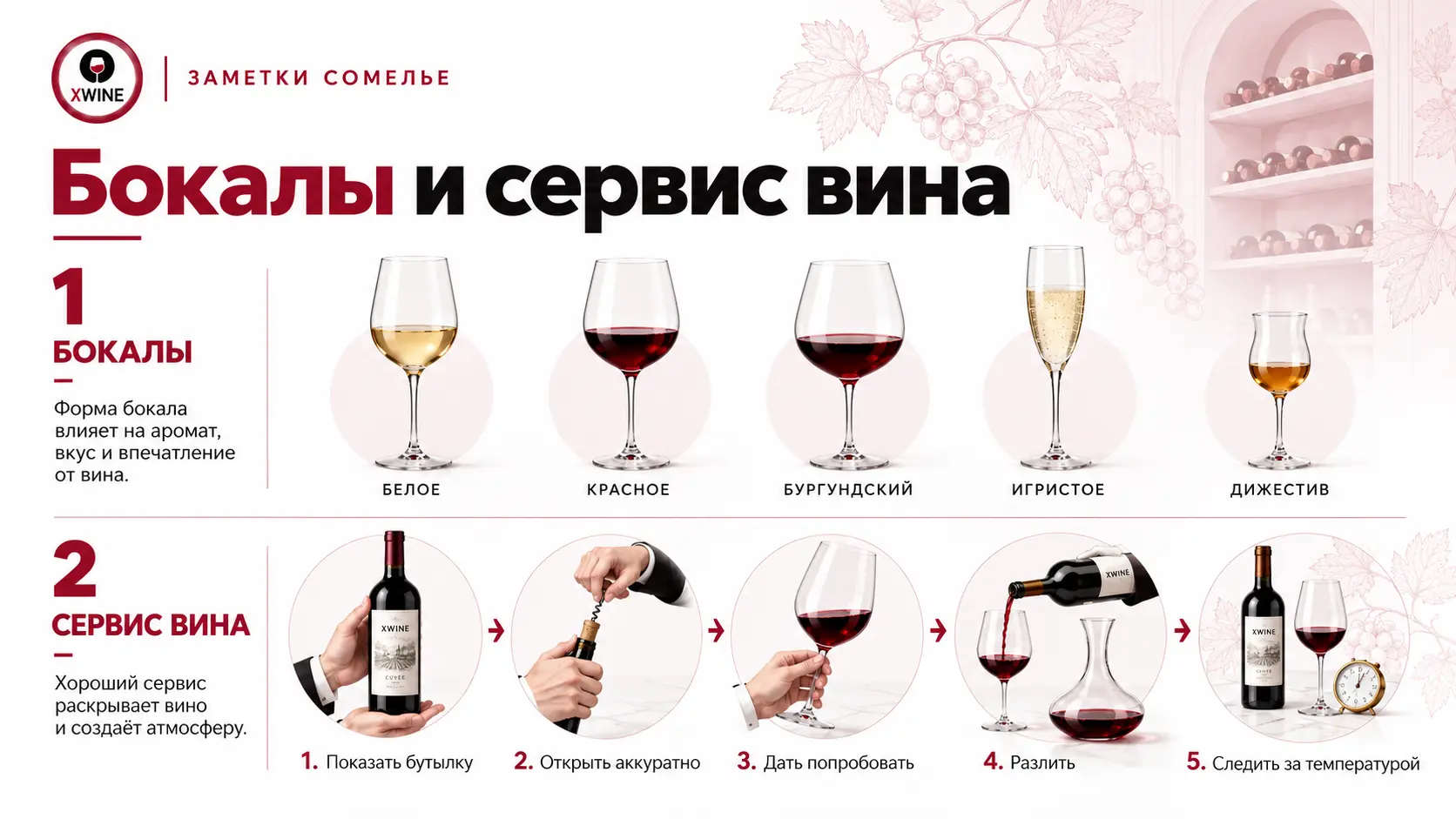 Бокалы и сервис вина: выбор бокала, презентация бутылки, открытие и розлив