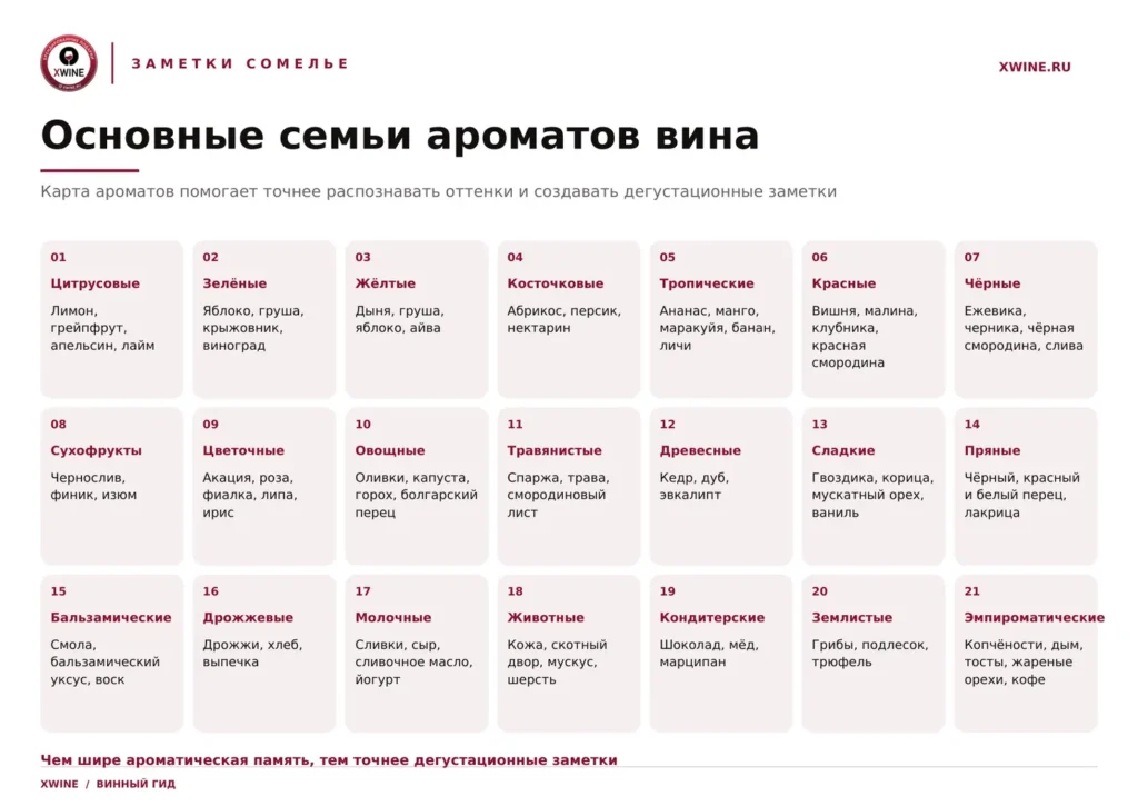Карта ароматов вина — схема описания вкуса и аромата