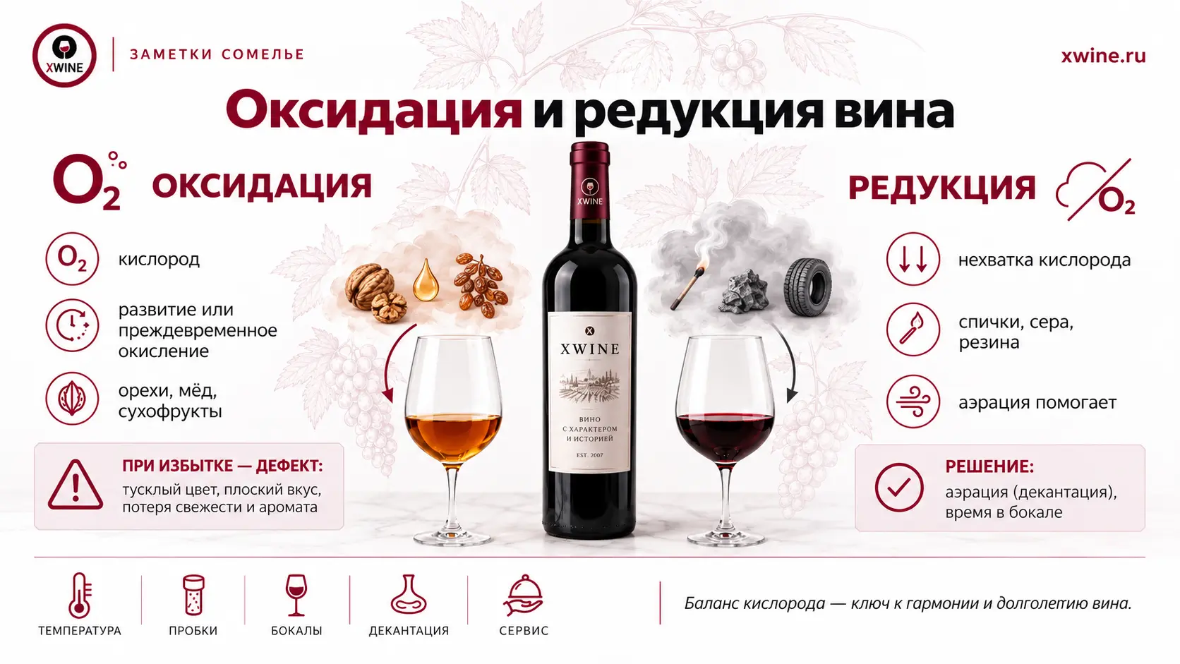 Оксидация и редукция вина: как кислород влияет на вкус и аромат