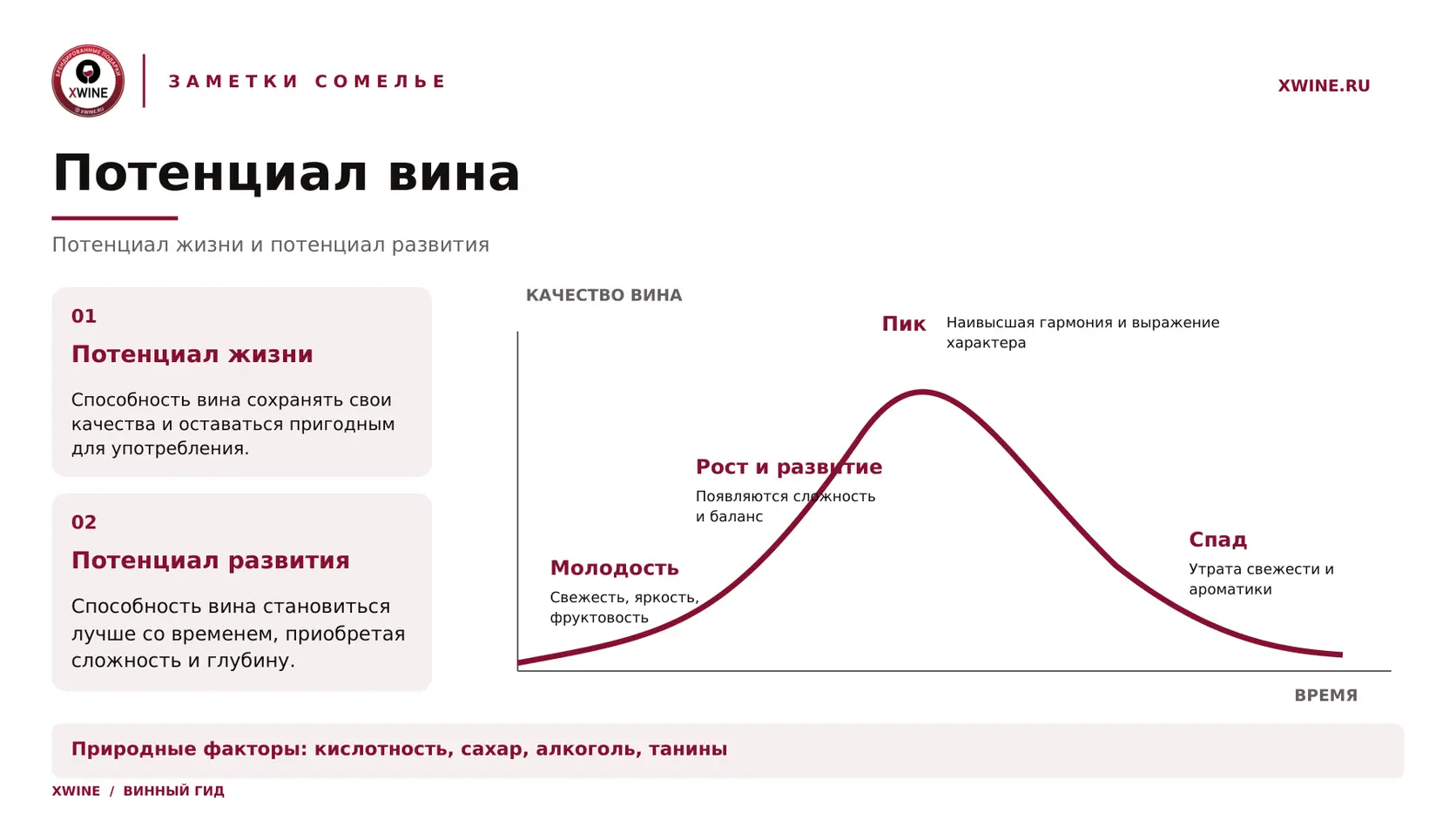 Потенциал вина: развитие, пик зрелости и старение бутылки со временем