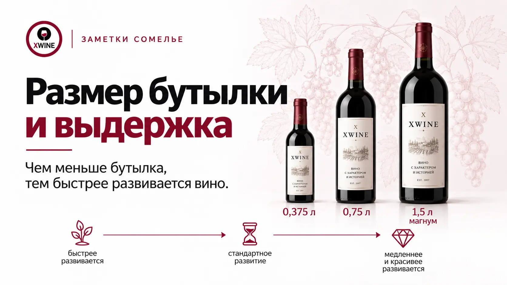 Размер бутылки и выдержка вина: 0,375 л, 0,75 л и магнум 1,5 л