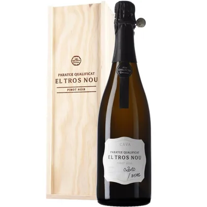 Игристое вино Cava Codorniu Ars Collecta Paraje Calificado El Tros Nou Gran Reserva DO, 0,75 л — Испания