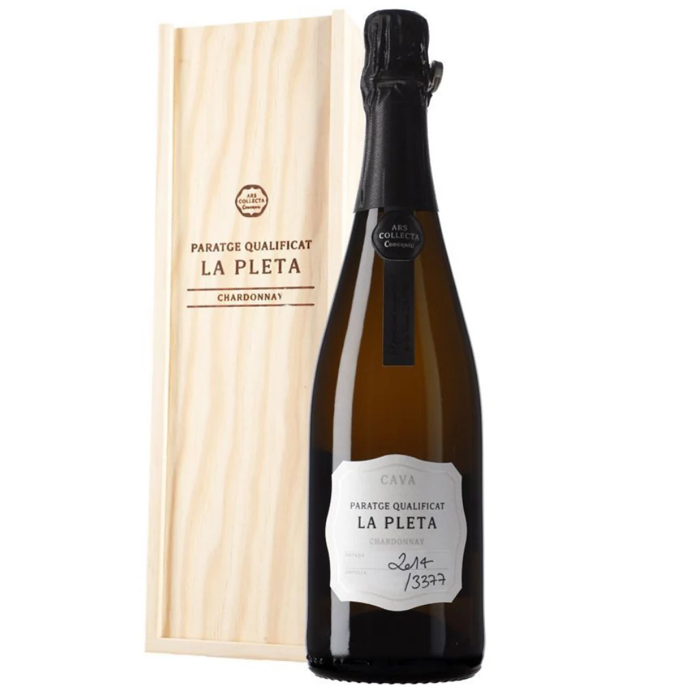 Игристое вино Cava Codorniu Ars Collecta Paraje Calificado La Pleta Gran Reserva DO, 0,75 л — Испания