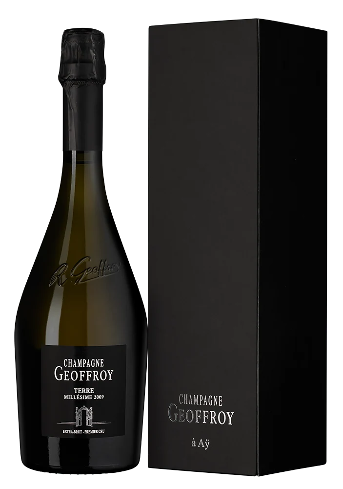 Шампанское Champagne Geoffroy Terre Extra Brut Premier Cru в подарочной упаковке, 0,75 л — Франция