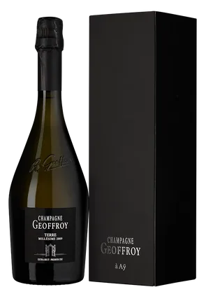 Шампанское Champagne Geoffroy Terre Extra Brut Premier Cru в подарочной упаковке, 0,75 л — Франция