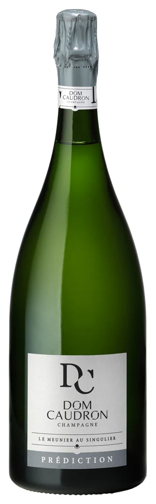 Шампанское Dom Caudron Prediction Brut 12,5%, 1,5 л — Франция