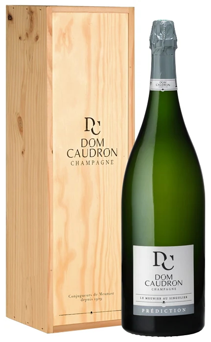 Шампанское Dom Caudron Prediction Brut 12,5%, 3 л — Франция