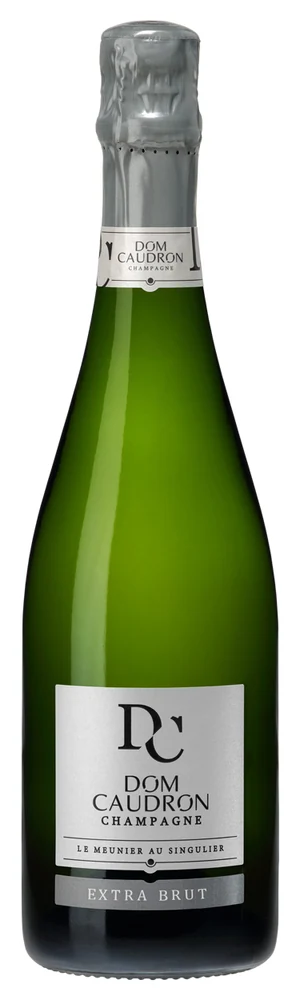 Шампанское Dom Caudron Prediction Extra Brut 12,5%, 0,75 л — Франция