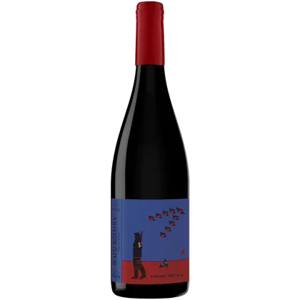 Вино Chateau Pinot Шары Колдуна Кирпичи улетели красное сухое, 0,75 л — Россия