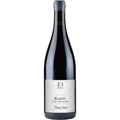 Вино Domaine Joseph Pascal Blagny Premier Cru Sous le Puits, 0,75 л — Франция