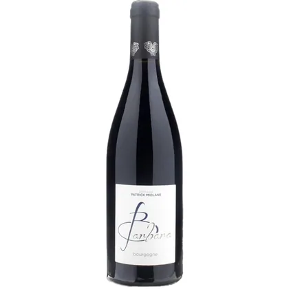 Вино Domaine Patrick Miolane Barbara Vieilles Vignes Cuvee, 0,75 л — Франция