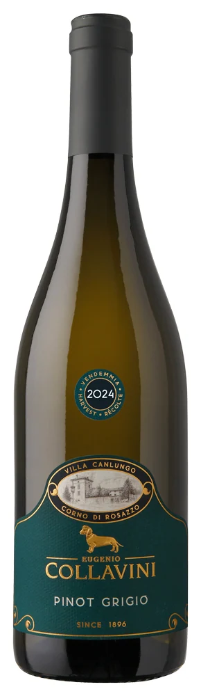 Вино Eugenio Collavini Pinot Grigio Black Label 13,5%, 0,75 л — Италия