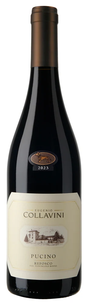 Вино Eugenio Collavini Pucino Refosco 12,5%, 0,75 л — Италия