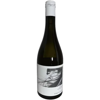 Вино Il Poggiarello Come il Vento Sauvignon белое полусухое, 0,75 л — Италия