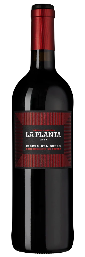 Вино La Planta, Bodegas Arzuaga, 0,75 л — Испания