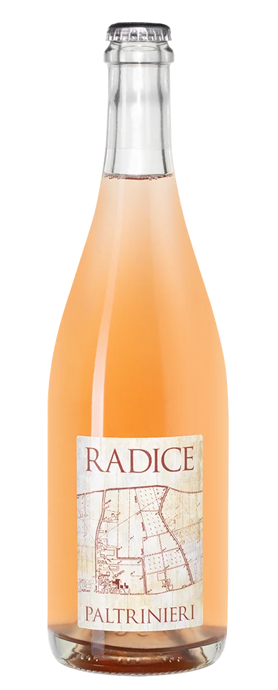 Шипучее вино Lambrusco di Sorbara Radice, Paltrinieri, 0,75 л — Италия